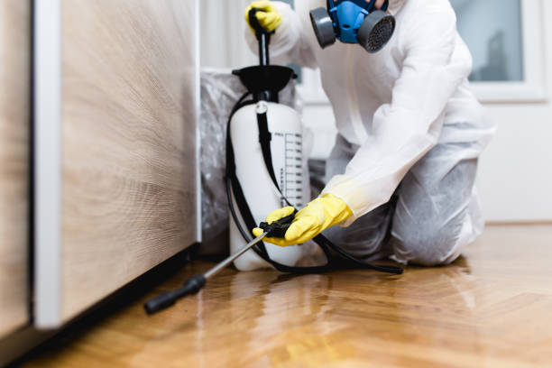 Best Pest Inspection Near Me  in Teague, TX