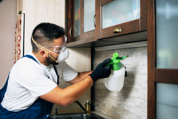 Trusted Teague, TX Pest Control Experts