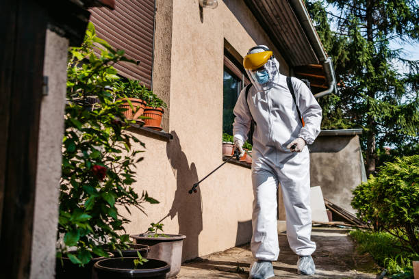 Best Pest Control Near Me  in Teague, TX