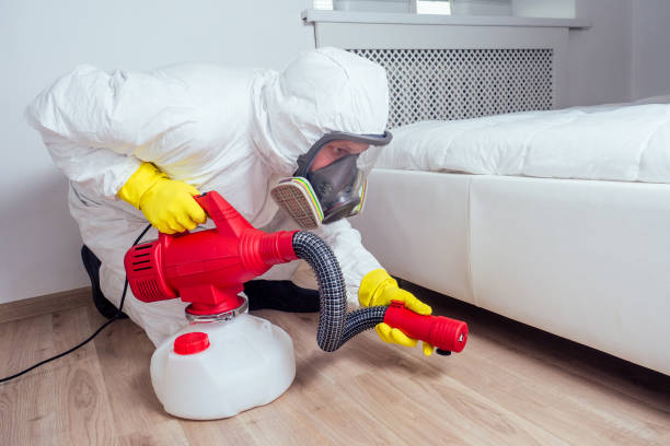 Best Cockroach Control Services  in Teague, TX