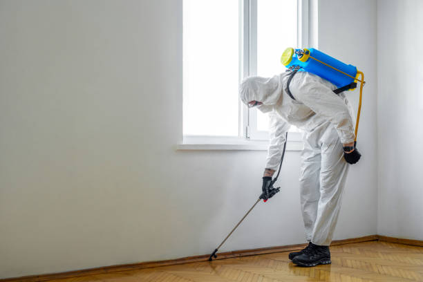 Best Exterminator Services  in Teague, TX