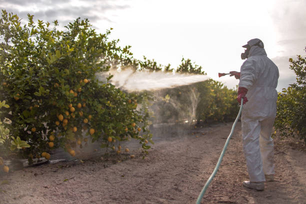 Best Emergency Pest Control  in Teague, TX