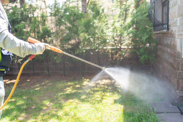 Best Pest Prevention Services  in Teague, TX