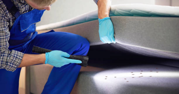 Best Wasp Removal Services  in Teague, TX
