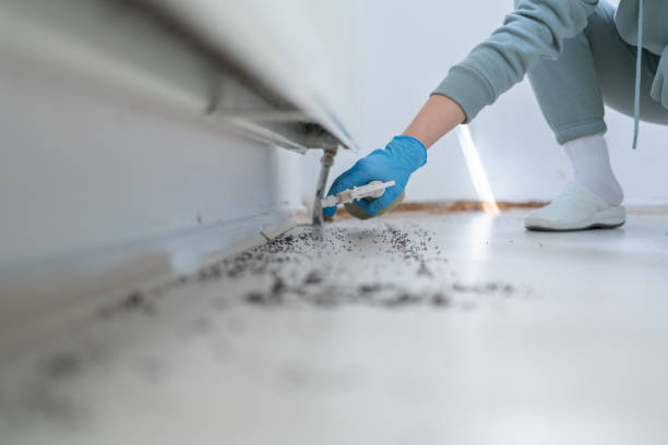 Best Mosquito Control Services  in Teague, TX