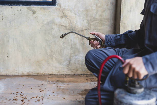 Best Emergency Pest Control  in Teague, TX