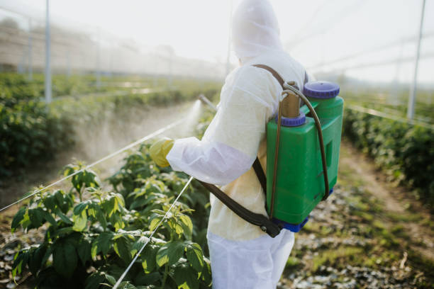 Best Pest Control for Businesses  in Teague, TX